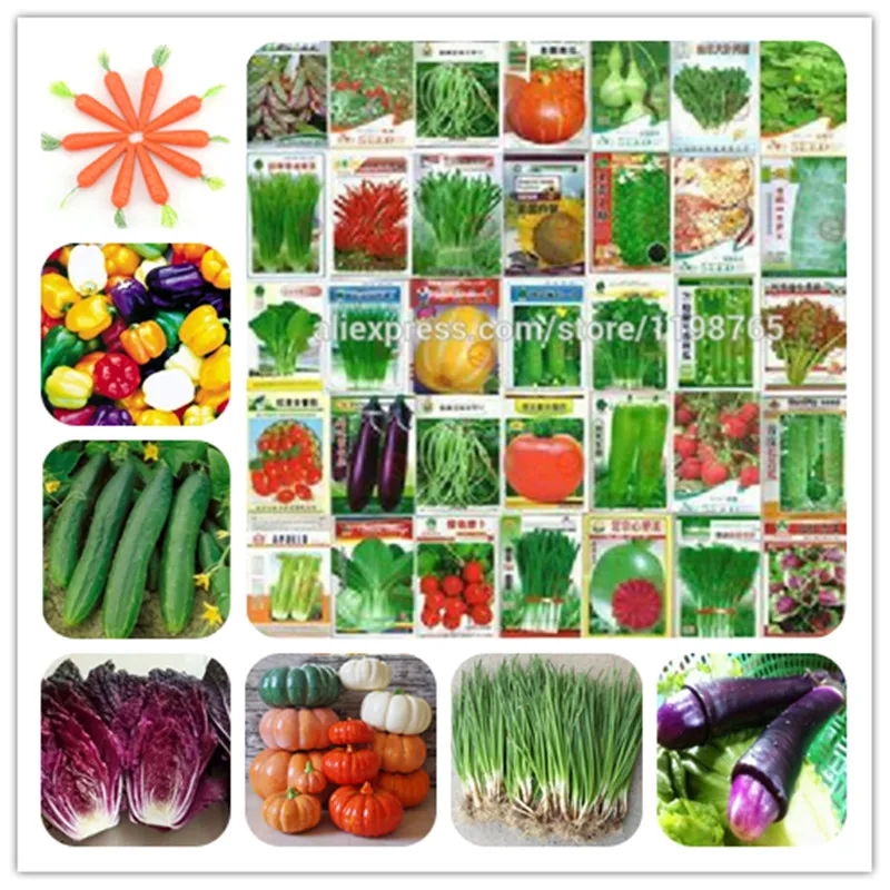Four Seasons 100pcs Vegetable Bonsai Cucumber Eggplant Pepper Pumpkin Cabbage Shallot Carrot Tomato Balcony Garden Pot Plant
Four Seasons 100pcs Vegetable Bonsai Cucumber Eggplant Pepper Pumpkin Cabbage Shallot Carrot Tomato Balcony Garden Pot Plant