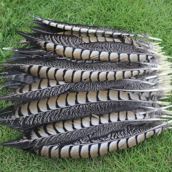 Wholesale! hot 500pcs/lot Natural copper chicken tail 30-35cm/12-14inch wedding party decorations
Wholesale! hot 500pcs/lot Natural copper chicken tail 30-35cm/12-14inch wedding party decorations