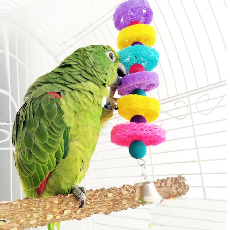 Bird Swing Image
