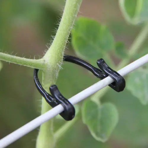 100Pcs U Type Tomato Clips Trellis Garden Vegetable Binder Twine Plant Support Nursery Pots
100Pcs U Type Tomato Clips Trellis Garden Vegetable Binder Twine Plant Support Nursery Pots