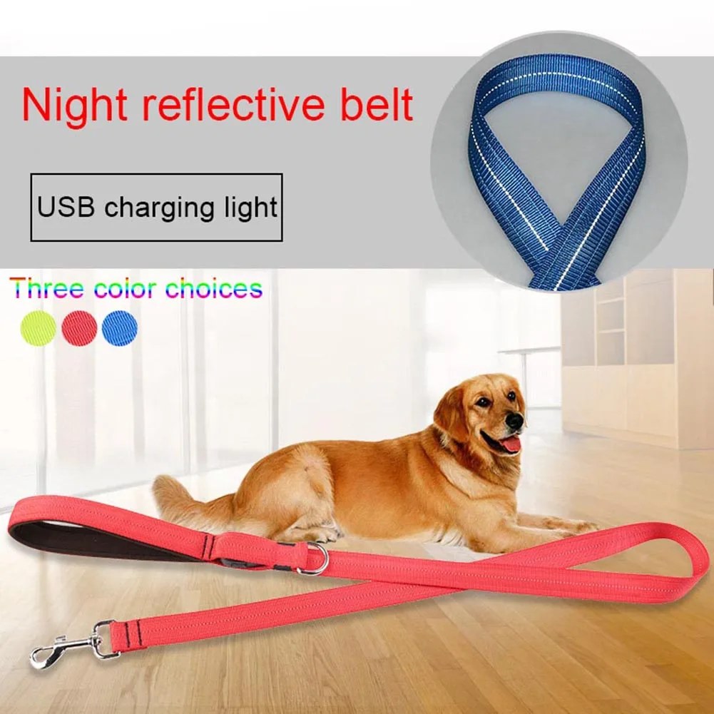 Hot Lovely Pet Dog Leash Nylon LED Night Safety Flashing Reflective USB Charging Anti-losting Leash Hogard JY26
Hot Lovely Pet Dog Leash Nylon LED Night Safety Flashing Reflective USB Charging Anti-losting Leash Hogard JY26