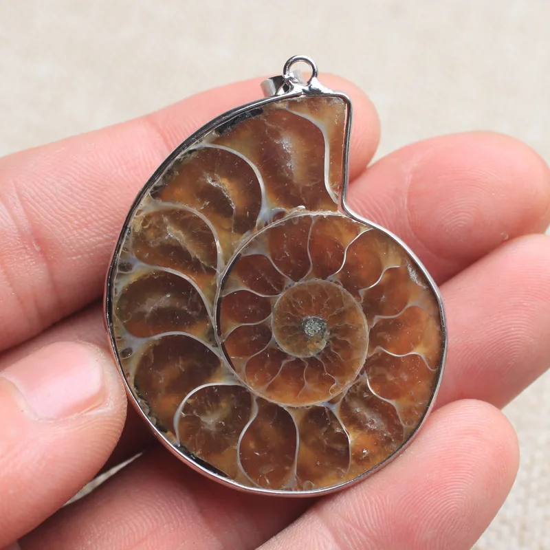 Free Shipping Natural Ammonite fossils Shell Pendant Bead Jewelry For Necklace
Free Shipping Natural Ammonite fossils Shell Pendant Bead Jewelry For Necklace