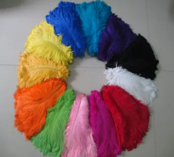 Wholesale 50pcs / A lot of beautiful ostrich feathers 12-14 inches / 30-35 cm multiple colors are available
Wholesale 50pcs / A lot of beautiful ostrich feathers 12-14 inches / 30-35 cm multiple colors are available