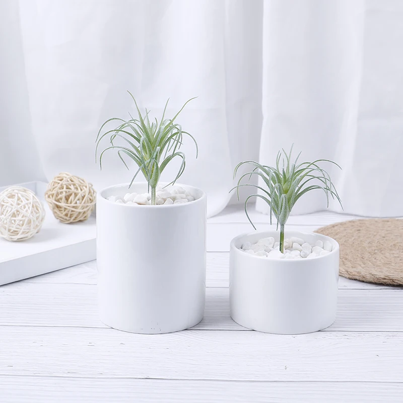 9*7cm Hot Sale Artificial Pineapple Grass Air Plants Fake Flowers as Home Wall Decoration
9*7cm Hot Sale Artificial Pineapple Grass Air Plants Fake Flowers as Home Wall Decoration