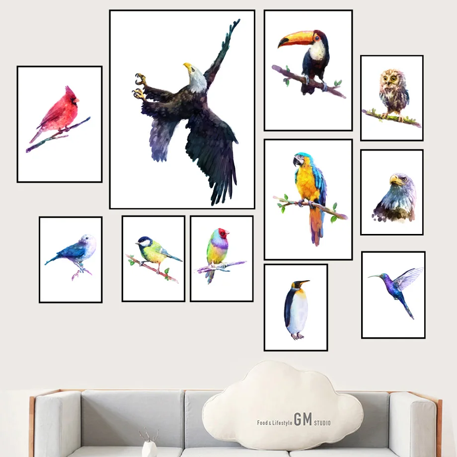 Watercolor Bird Parrot Toucan Owl Wall Art Canvas Painting Nordic Posters And Prints Animal Wall Pictures For Living Room Decor
Watercolor Bird Parrot Toucan Owl Wall Art Canvas Painting Nordic Posters And Prints Animal Wall Pictures For Living Room Decor
