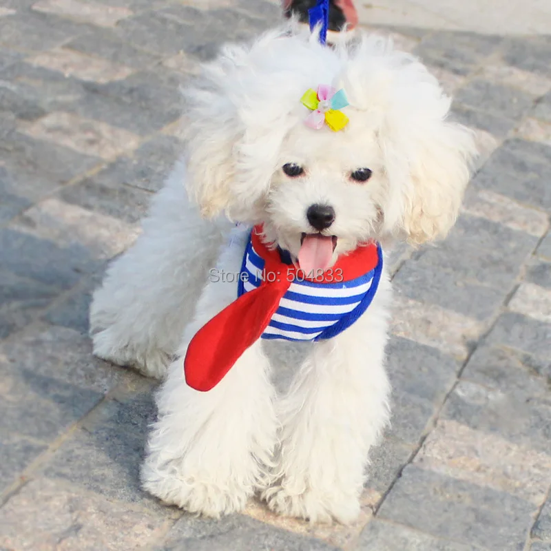Sweety Dogs Breathable Mesh Harness Sailor style Dog Pets Safty Vests Walking Chest Straps with Bowtie for All Seasons
Sweety Dogs Breathable Mesh Harness Sailor style Dog Pets Safty Vests Walking Chest Straps with Bowtie for All Seasons