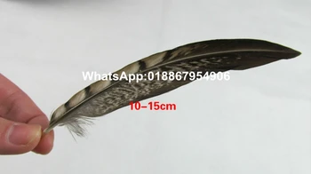 500Pcs/Lot 4-6" 10-15cm Lady Amherst Pheasant Tail Feathers Wholesale Loose Quill Natural Smudge Wand Natural Brown
500Pcs/Lot 4-6" 10-15cm Lady Amherst Pheasant Tail Feathers Wholesale Loose Quill Natural Smudge Wand Natural Brown