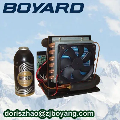 zhejiang boyard r134a DC 24V mini refrigeration system unit for mini air conditioner