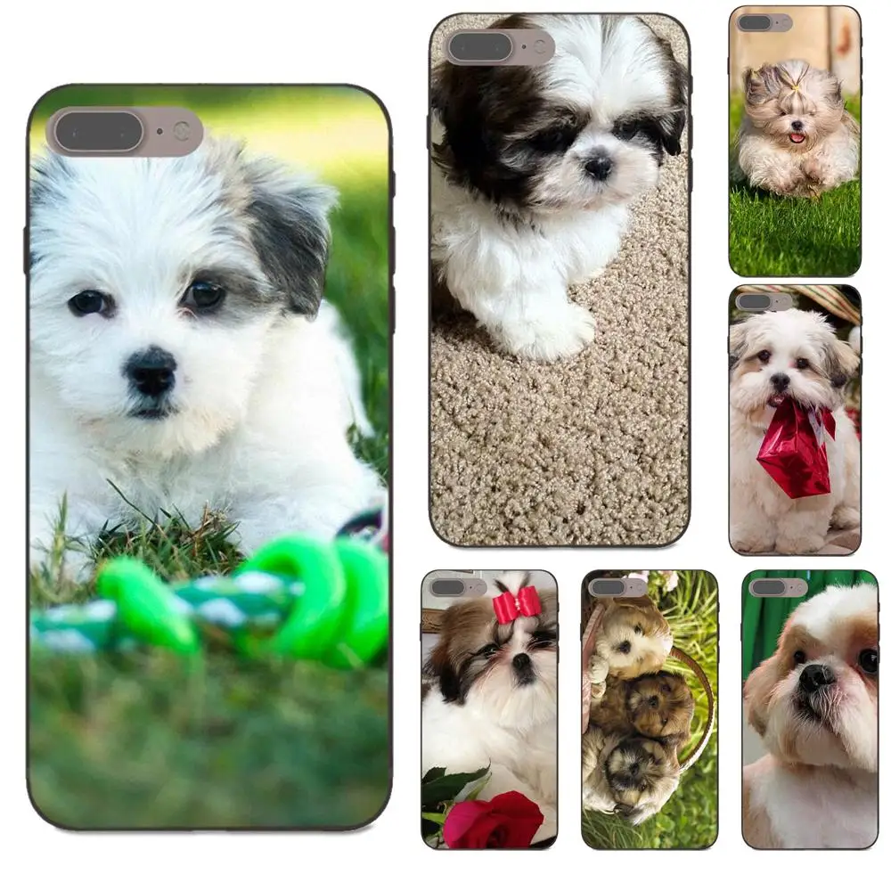 Shih Tzu Shitzu Dog Puppies Hot Sale Fashion Cover Phone Case For Samsung Galaxy A3 A5 A6 A6s A7 A8 A9 Star Plus 2016 2017 2018
Shih Tzu Shitzu Dog Puppies Hot Sale Fashion Cover Phone Case For Samsung Galaxy A3 A5 A6 A6s A7 A8 A9 Star Plus 2016 2017 2018