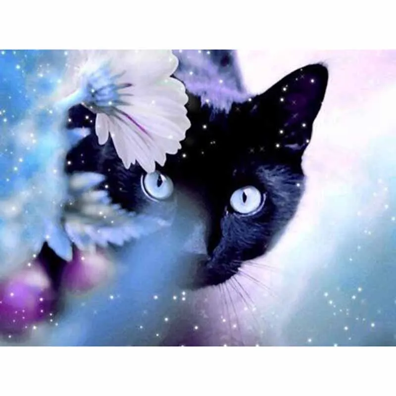 Full Square Diamond 5D DIY Diamond Painting "Animal Black Cat" Embroidery Cross Stitch Rhinestone Mosaic Painting Decor Gift
Full Square Diamond 5D DIY Diamond Painting "Animal Black Cat" Embroidery Cross Stitch Rhinestone Mosaic Painting Decor Gift