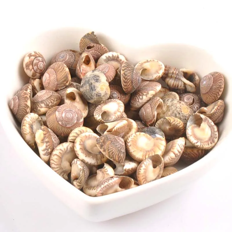 5-10mm no hole Mini Natural spot Shell vortex pattern for DIY handmade SeaShells Scrapbook decoration 23g(about 150pcs) TRS0242x
5-10mm no hole Mini Natural spot Shell vortex pattern for DIY handmade SeaShells Scrapbook decoration 23g(about 150pcs) TRS0242x