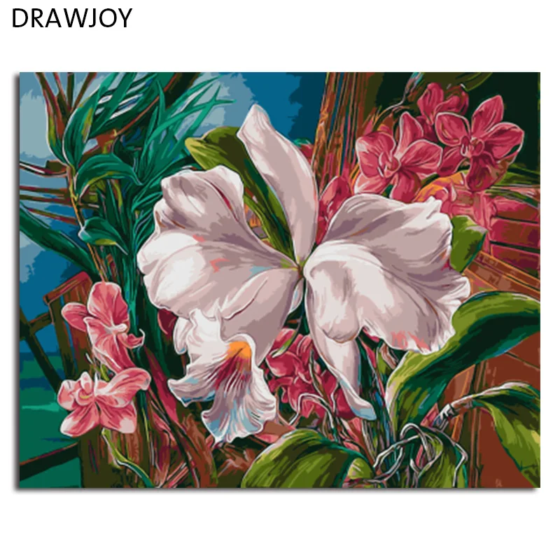 DRAWJOY Framed Oil Paint DIY Painting By Numbers Coloring By Numbers Of Flower Home Decoration 40*50cm
DRAWJOY Framed Oil Paint DIY Painting By Numbers Coloring By Numbers Of Flower Home Decoration 40*50cm