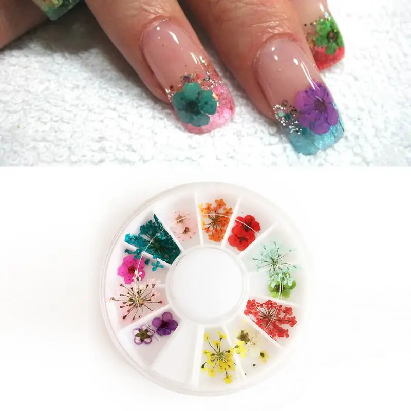 Nail Art Decoration Preserved Mixed Dried Flower Manicure Decoration Tips 12 lattice plate mounted Nail Decorative Dry Flower
Nail Art Decoration Preserved Mixed Dried Flower Manicure Decoration Tips 12 lattice plate mounted Nail Decorative Dry Flower
