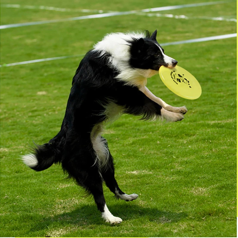 Elasticity Plastic Cartoon Throw and Catch Flying Disc Children's Or Adult Outdoor Sports Outdoors Beach Flying Saucer
Elasticity Plastic Cartoon Throw and Catch Flying Disc Children's Or Adult Outdoor Sports Outdoors Beach Flying Saucer