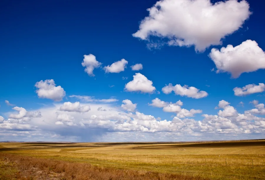 Laeacco Photography Backdrops Cloudy Blue Sky Grassland Scenic Photocall Photographic Backgrounds For photo Studio Camera
Laeacco Photography Backdrops Cloudy Blue Sky Grassland Scenic Photocall Photographic Backgrounds For photo Studio Camera