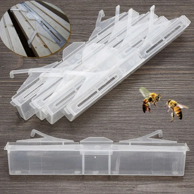 1pc Bee Hive Beetle Blaster Beehive Trap Prevent Escape Insect Cage Beekeeping Equipment Tools
1pc Bee Hive Beetle Blaster Beehive Trap Prevent Escape Insect Cage Beekeeping Equipment Tools