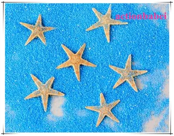 Hot sale!100pcs/lot New Natural Artificial Starfish Platform Ornament Accessories wedding decoration 4-6cm free shipping
Hot sale!100pcs/lot New Natural Artificial Starfish Platform Ornament Accessories wedding decoration 4-6cm free shipping