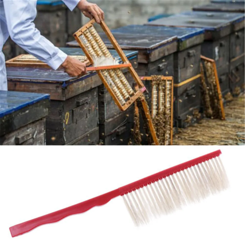 Beekeeping Tools plastic soft Bee Sweep Brush Pig's Bristles Bee Brushes Beekeeping Equipment for Apicultura Beekeeper
Beekeeping Tools plastic soft Bee Sweep Brush Pig's Bristles Bee Brushes Beekeeping Equipment for Apicultura Beekeeper