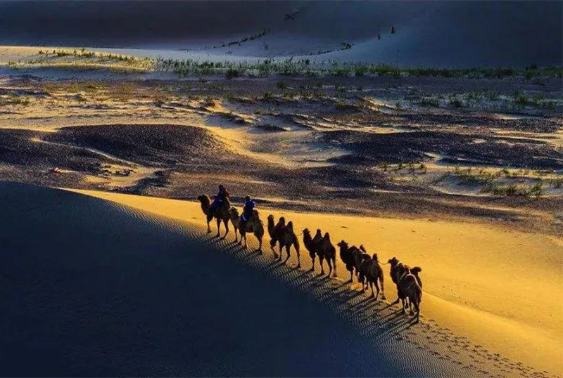 Desert landscape animal camel Full Square Diamond Painting "Silk Road" scenery Diamond Embroidery Cross Stitch Home decor Gift
Desert landscape animal camel Full Square Diamond Painting "Silk Road" scenery Diamond Embroidery Cross Stitch Home decor Gift