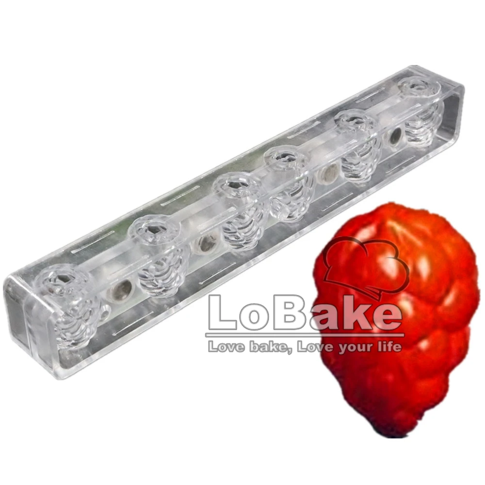2 halves 6 cavities 25.4*3.5*3cm 3D creative grape fruit praline shape magnetic Polycarbonate chocolate candy popsicle mould
2 halves 6 cavities 25.4*3.5*3cm 3D creative grape fruit praline shape magnetic Polycarbonate chocolate candy popsicle mould