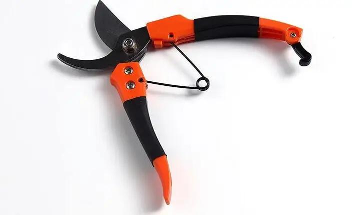 Free Shipping Garden Shears Fruit Tree Pruning Shears Bonsai Pruners Lawn Triming Gardening Secateurs Scissor
Free Shipping Garden Shears Fruit Tree Pruning Shears Bonsai Pruners Lawn Triming Gardening Secateurs Scissor