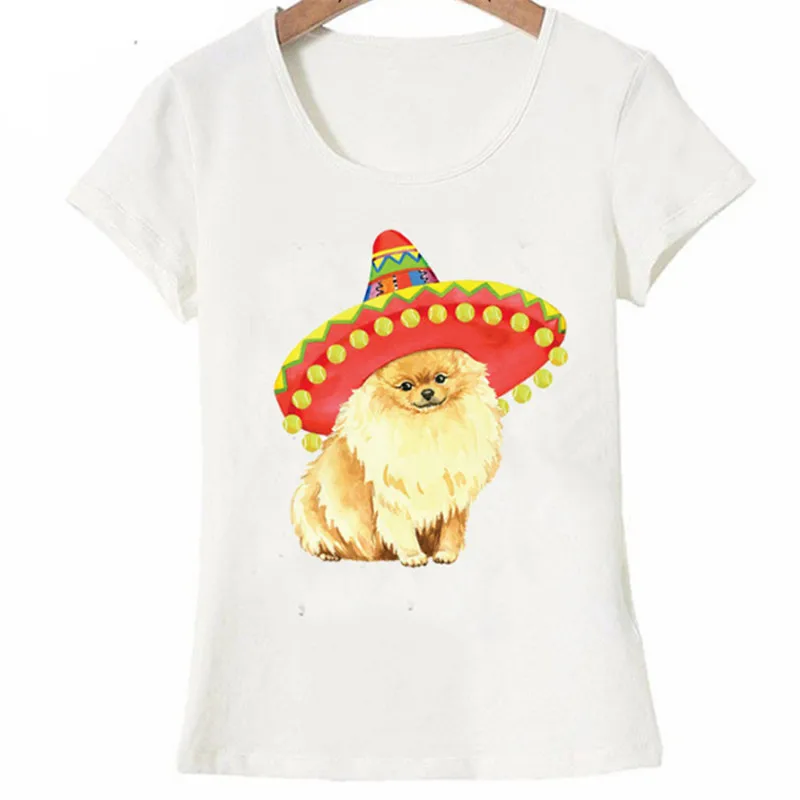 Fiesta Pomeranian Trucker Hat T Shirt Women t shirt funny dog design T Shirt casual Short Sleeve tee for girls
Fiesta Pomeranian Trucker Hat T Shirt Women t shirt funny dog design T Shirt casual Short Sleeve tee for girls