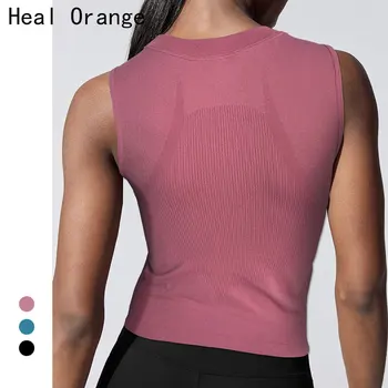 Seamless Crop Top Gym Tee Shirt Homme Sport Fitness Top Quick Dry Women Workout Gym Womens Workout Tops Camiseta Mujer Gym Top
Seamless Crop Top Gym Tee Shirt Homme Sport Fitness Top Quick Dry Women Workout Gym Womens Workout Tops Camiseta Mujer Gym Top