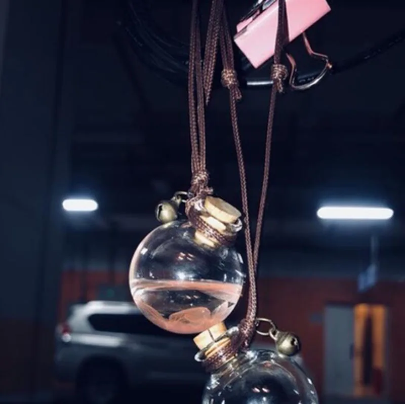 Car perfume bottle empty hanging bottle essential oil perfume pendant for BMW 1 2 3 4 5 6 7 Series X1 X3 X4 X5 X6 325 328 F30 F3
Car perfume bottle empty hanging bottle essential oil perfume pendant for BMW 1 2 3 4 5 6 7 Series X1 X3 X4 X5 X6 325 328 F30 F3