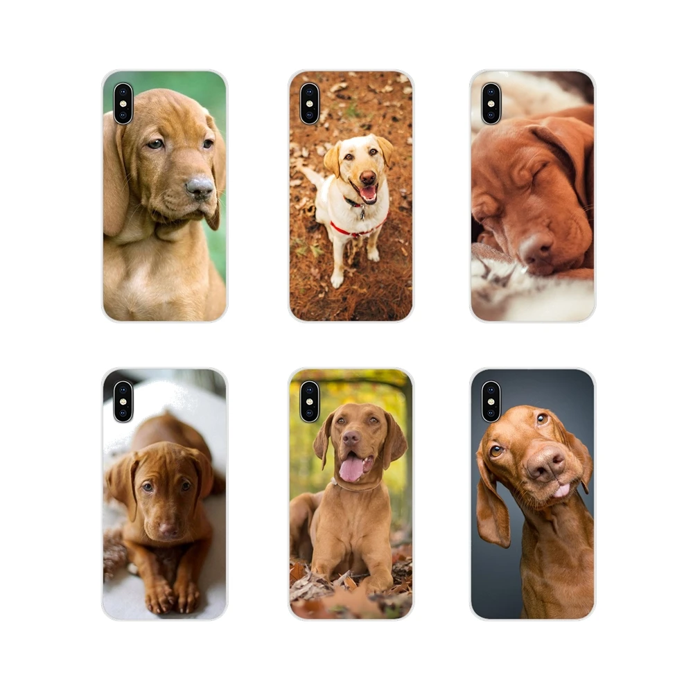 For Apple iPhone X XR XS MAX 4 4S 5 5S 5C SE 6 6S 7 8 Plus ipod touch 5 6 Vizsla dog Accessories Phone Shell Covers
For Apple iPhone X XR XS MAX 4 4S 5 5S 5C SE 6 6S 7 8 Plus ipod touch 5 6 Vizsla dog Accessories Phone Shell Covers