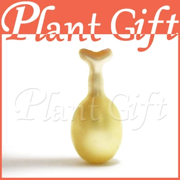 EGF Pearl Cleansing Capsule 10/30/50/100 pcs-Remove dirt in the pores, replenishment, clean while keeping moist.
EGF Pearl Cleansing Capsule 10/30/50/100 pcs-Remove dirt in the pores, replenishment, clean while keeping moist.