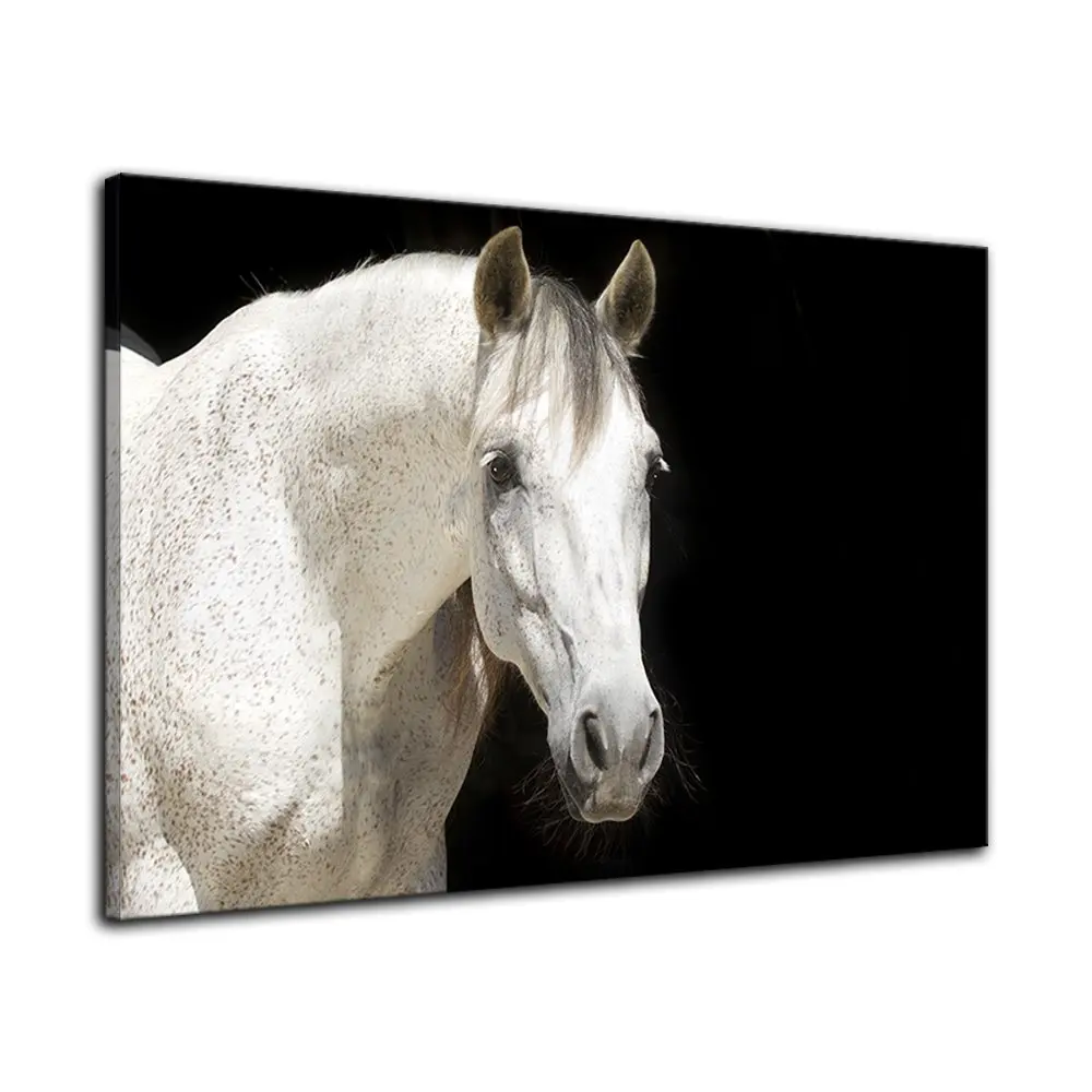 White Horse On Black Wall Art Background Canvas Paintings on Canvas Contemporary Wall Art Giclee Framed Artwork Drop shipping
White Horse On Black Wall Art Background Canvas Paintings on Canvas Contemporary Wall Art Giclee Framed Artwork Drop shipping