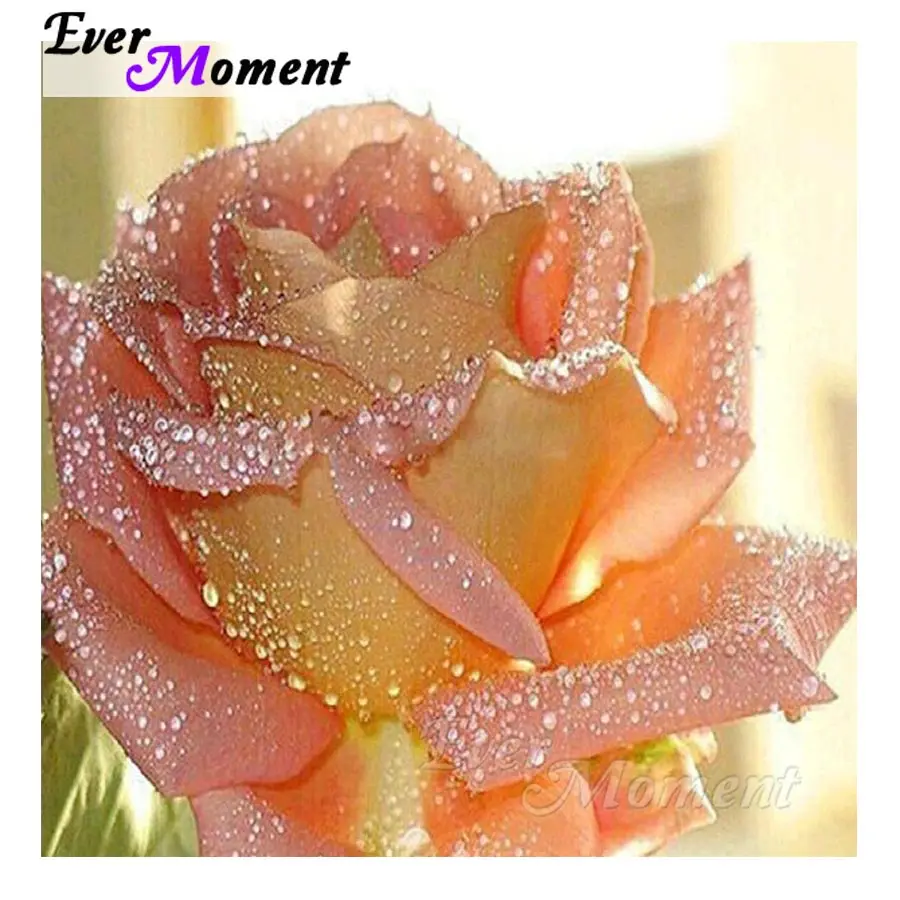 Ever Moment Diamond Painting Flower Full Square Drill Picture Mosaic Decoration For Home Diamond Embroidery Rhinestone S2F823
Ever Moment Diamond Painting Flower Full Square Drill Picture Mosaic Decoration For Home Diamond Embroidery Rhinestone S2F823