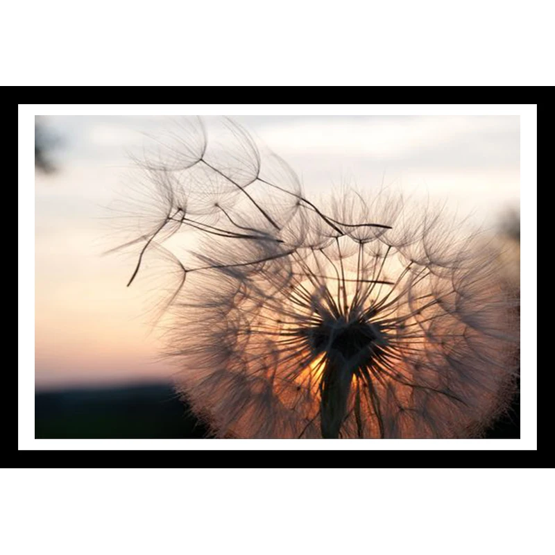 

Full 5D Diy Diamond Painting Cross Stitch Sunset Dandelion 3D Diamond mosaic Round Rhinestone Picture Embroidery