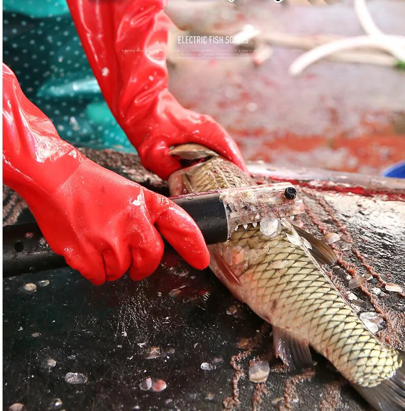 Waterproof Electric Fish Scaler Fishing Scalers Clean Fish Remover Cleaner Descaler Scraper Seafood Tools EU/US Plug
Waterproof Electric Fish Scaler Fishing Scalers Clean Fish Remover Cleaner Descaler Scraper Seafood Tools EU/US Plug