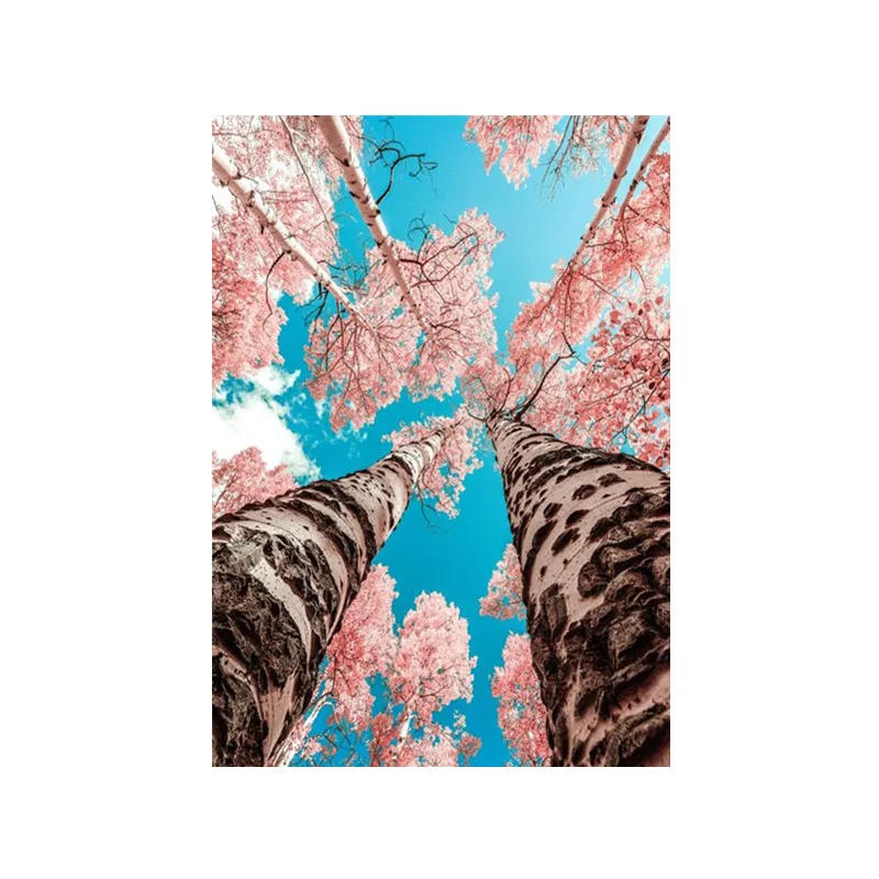 5D DIY full round diamond painting beautiful landscape cross stitch embroidery mosaic rhinestone Christmas birthday gift
5D DIY full round diamond painting beautiful landscape cross stitch embroidery mosaic rhinestone Christmas birthday gift
