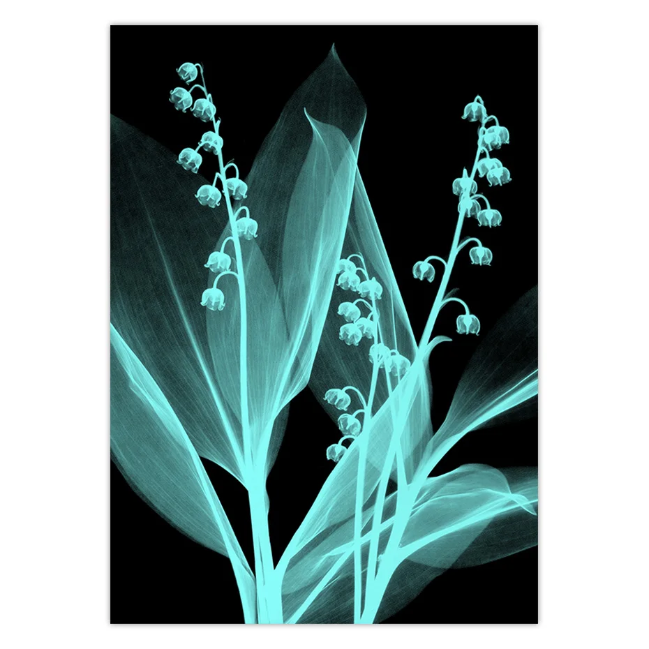 color_opt_1