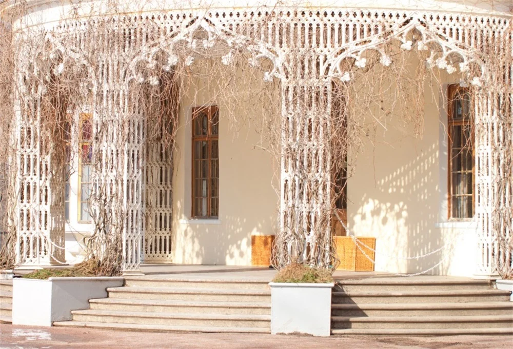 Laeacco House Exterior Pillar Stairs Rattan Scenic Photography Backgrounds Customized Photographic Backdrops For Photo Studio
Laeacco House Exterior Pillar Stairs Rattan Scenic Photography Backgrounds Customized Photographic Backdrops For Photo Studio
