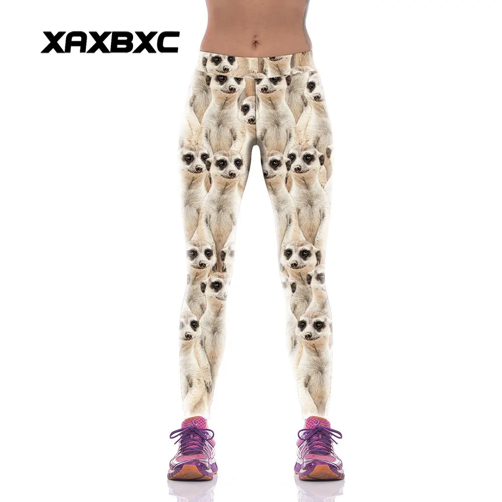 XAXBXC 1012 Fashion Cute Animal mongoose Meerkat Prints High Waist Silm Fitness Women Leggings Sexy Girl Pencil Pants
XAXBXC 1012 Fashion Cute Animal mongoose Meerkat Prints High Waist Silm Fitness Women Leggings Sexy Girl Pencil Pants