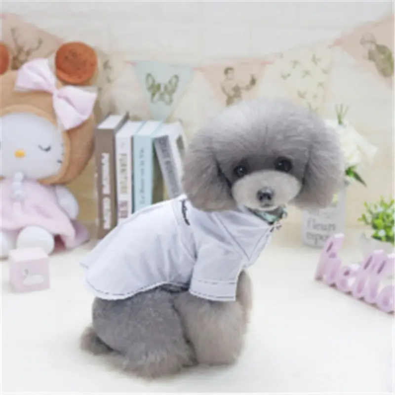 Dog Clothes Pet Dog Coat Jacket for Small Dogs Shirt Chihuahua Clothes Warm Spring Puppy Outfit Clothing
Dog Clothes Pet Dog Coat Jacket for Small Dogs Shirt Chihuahua Clothes Warm Spring Puppy Outfit Clothing