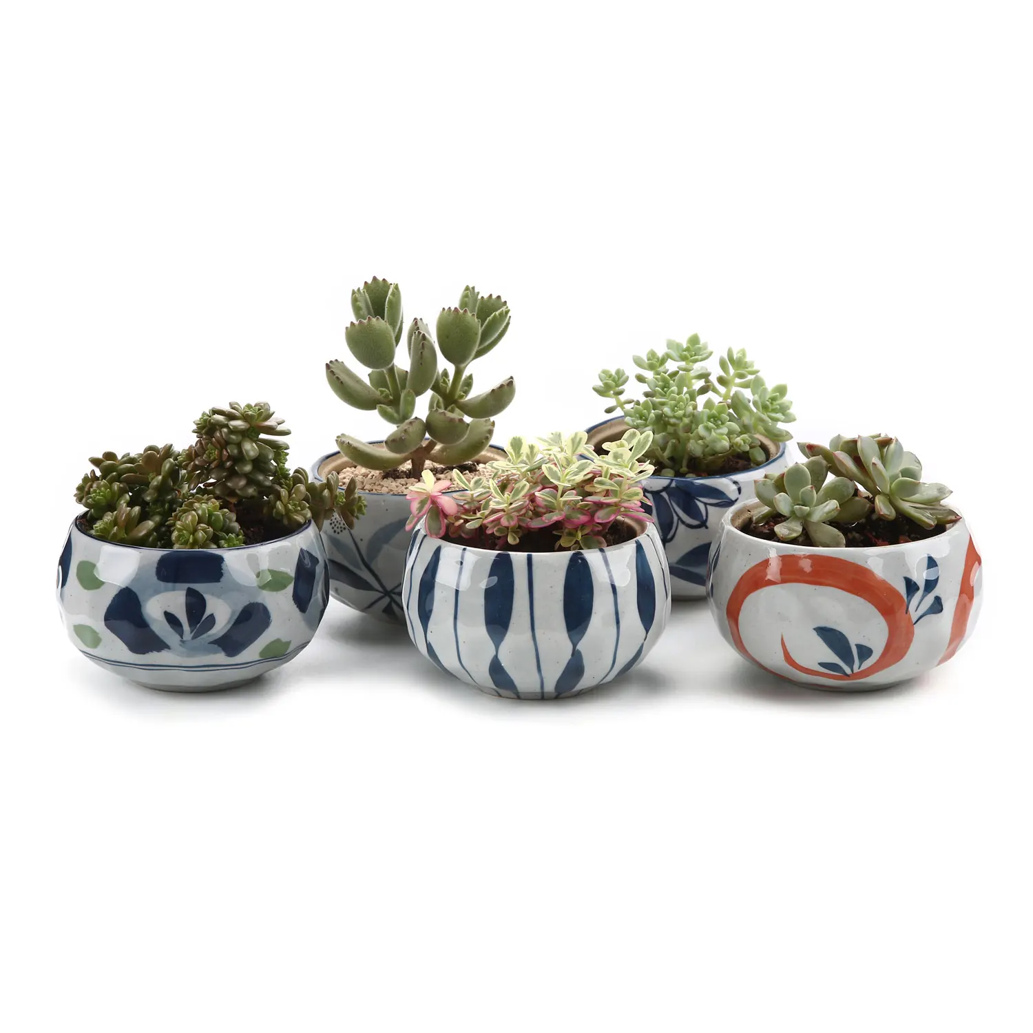 T4U 4.25 Inch Ceramic Japanese Style maceta bonsai Plant Pot Clay Spring Flower Pot succulent Cactus Container Planter
T4U 4.25 Inch Ceramic Japanese Style maceta bonsai Plant Pot Clay Spring Flower Pot succulent Cactus Container Planter