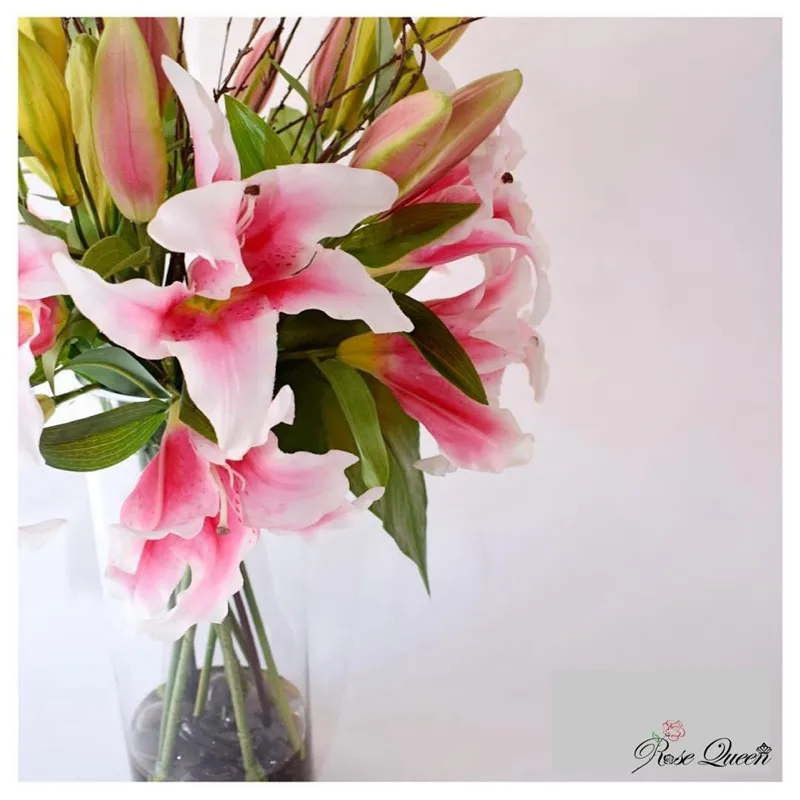 100cm Long Stem Latex Double Headed Artificial Lilies Decoration Fake Flowers Wedding Birthday Party Wall Garden Party Decor
100cm Long Stem Latex Double Headed Artificial Lilies Decoration Fake Flowers Wedding Birthday Party Wall Garden Party Decor