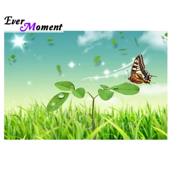 Ever Moment Diamond Painting Handmade Scenery Butterfly Grass Picture Of Rhinestone Square Drill Diamond Embroidery 3F904
Ever Moment Diamond Painting Handmade Scenery Butterfly Grass Picture Of Rhinestone Square Drill Diamond Embroidery 3F904