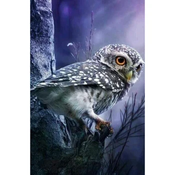 5D Diy round Daimond Painting Cross-stitch mosaic Dot Owl Diamond Painting Rhinestones Embroidery Decor Arts & Craft v1549 
5D Diy round Daimond Painting Cross-stitch mosaic Dot Owl Diamond Painting Rhinestones Embroidery Decor Arts & Craft v1549