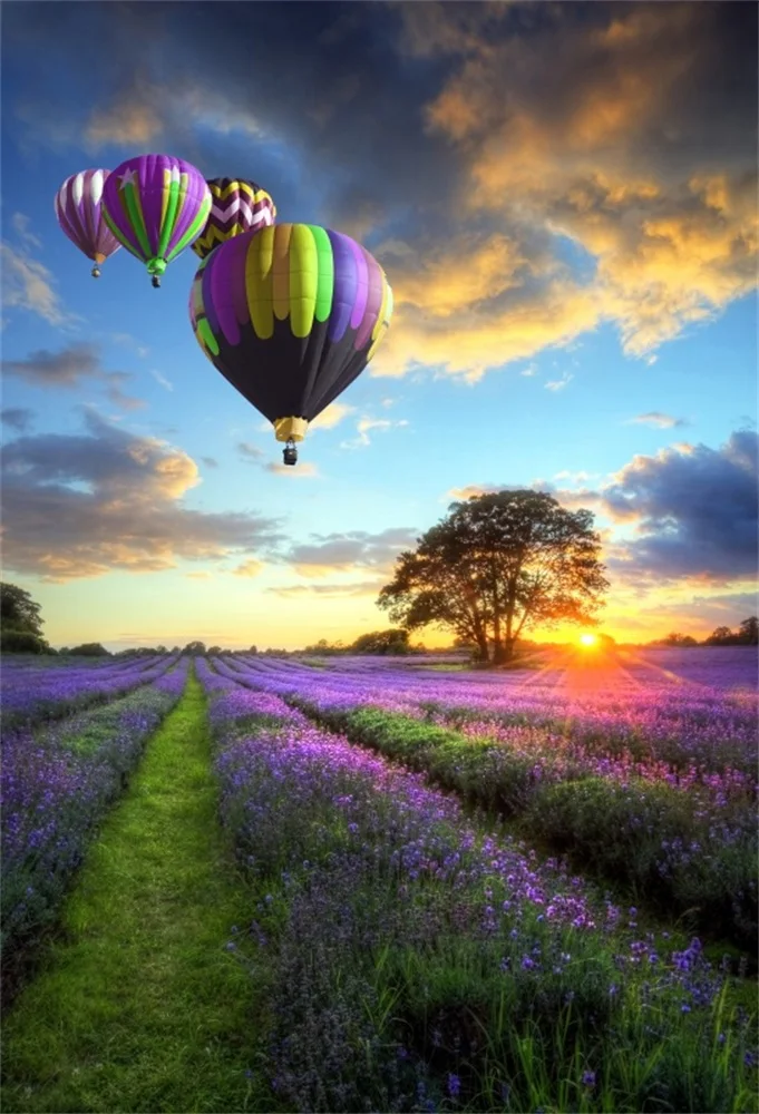 Laeacco Flower Field Hot Air Balloons Sunset Scenic Photography Backgrounds Customized Photographic Backdrops For Photo Studio
Laeacco Flower Field Hot Air Balloons Sunset Scenic Photography Backgrounds Customized Photographic Backdrops For Photo Studio