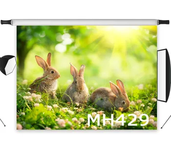 LB Polyester & Vinyl Lawn Sunlight Three Bunny Newborn Photo Background Photography Backdrops Backgrounds For Photo Studio Decor
LB Polyester & Vinyl Lawn Sunlight Three Bunny Newborn Photo Background Photography Backdrops Backgrounds For Photo Studio Decor