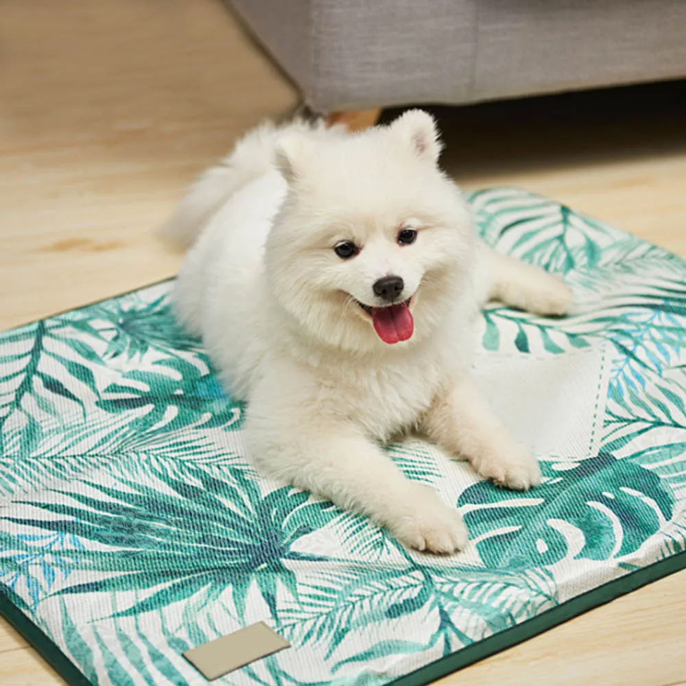 Dropshiping Cooling Mat For Cat Dogs Floor Mats Blanket Sleeping Bed Cushion Cold Pad Pet Supplie Portable Tour Pet accessories
Dropshiping Cooling Mat For Cat Dogs Floor Mats Blanket Sleeping Bed Cushion Cold Pad Pet Supplie Portable Tour Pet accessories
