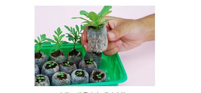 Freeshipping,50pcs/lot,25mm jiffy peat planting,Cutting,Garden Supplies,starting seeds,Vegetable seeds shovelingNew planter need
Freeshipping,50pcs/lot,25mm jiffy peat planting,Cutting,Garden Supplies,starting seeds,Vegetable seeds shovelingNew planter need