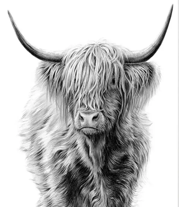 5d DIY Diamond Embroide"Black White Highland Cow"Full square Diamond Painting Cross Stitch animal,Diamond Mosaic,Nordic pictures
5d DIY Diamond Embroide"Black White Highland Cow"Full square Diamond Painting Cross Stitch animal,Diamond Mosaic,Nordic pictures