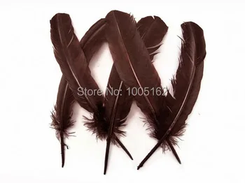 Wholesale 100pcs brown goose feathers 30-35cm Turkey Quill round Feathers Turkey round Feathers
Wholesale 100pcs brown goose feathers 30-35cm Turkey Quill round Feathers Turkey round Feathers