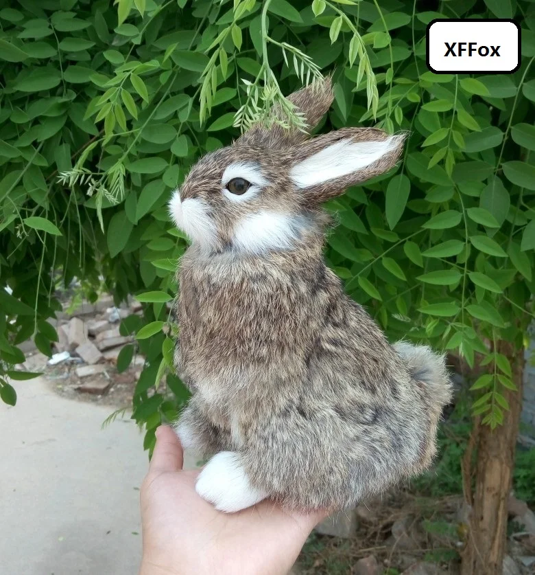 Новый креативный настоящий сидящий кролик модель пластик и мех хаки кролик кукла подарок около 22x16 см xf1996
Новый креативный настоящий сидящий кролик модель пластик и мех хаки кролик кукла подарок около 22x16 см xf1996